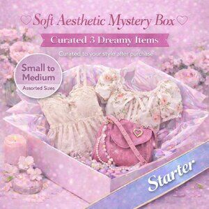 ✨ Soft Feminine Mystery Starter Box  (S/M) 📦 ❓Curated 3 Piece Aesthetic Bundle
